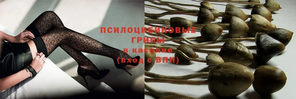 mdpv Алексин