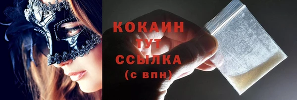 spice Алзамай