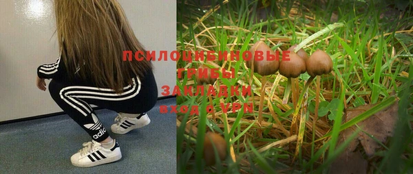 шишки Абдулино