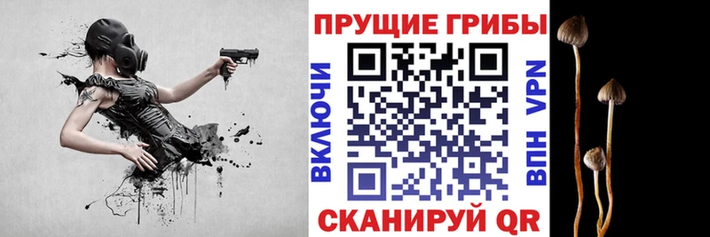 Псилоцибиновые грибы Magic Shrooms Нефтегорск