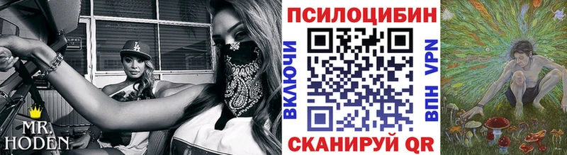Псилоцибиновые грибы Psilocybine cubensis  Нефтегорск 